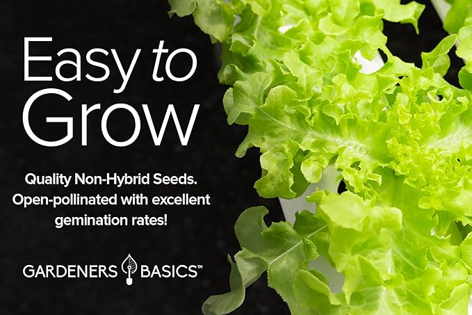 Gardeners Basics, Hydroponic Seeds for Planting Planting Indoors and Outdoor 5 Variety Pack - Tatsoi, Kale, Buttercrunch, Romaine and Loose Leaf Lettuce Seeds