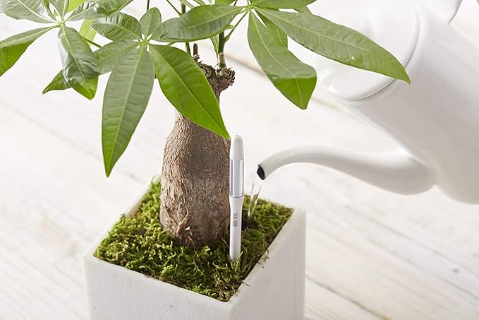 Aquameter, White, Small - Plant Soil Moisture Sensor - Best for Potted Plants - Refillable Style