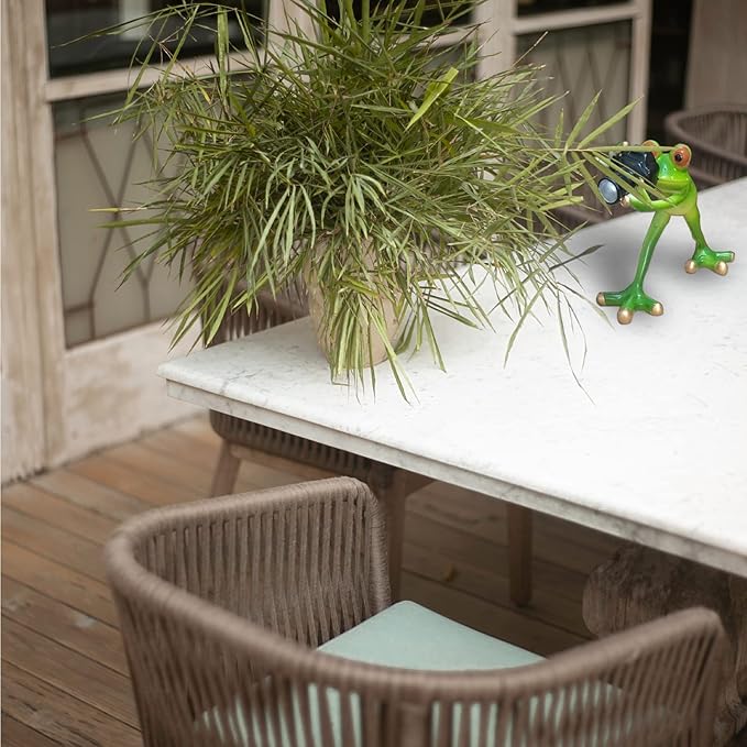 Outdoor Decor Garden Frog Gifts, Paparazzi Camera Decor, Resin Crafts for Shelves Table Desk, Statues for Garden