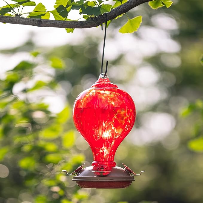 Hummingbird Feeders 32OZ Glass Hummingbird Feeder, 4 Perch Ant Moat Leakproof, Garden Decor (Red Lily)