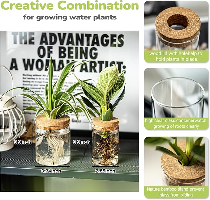Glass Propagation Stations for Plants -Desktop Flower Vases,Propagation Flower Vases Set – 2 Sizes Planter Propagated Jars ,for Plant Cuttings,for Living Room, Bedroom Decoration,Home,Office Decor(8)