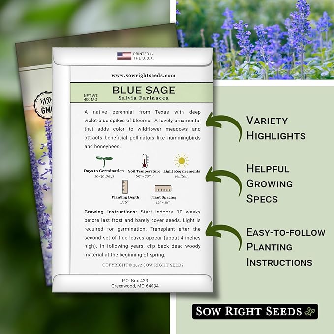 Sow Right Seeds - Blue Sage Wildflower Seed to Plant - Non-GMO Heirloom Seeds - Full Instructions for Planting and Growing Mealycup Sage or Salvia farinacea - Indoors or Outdoor - Gardening Gift (1)