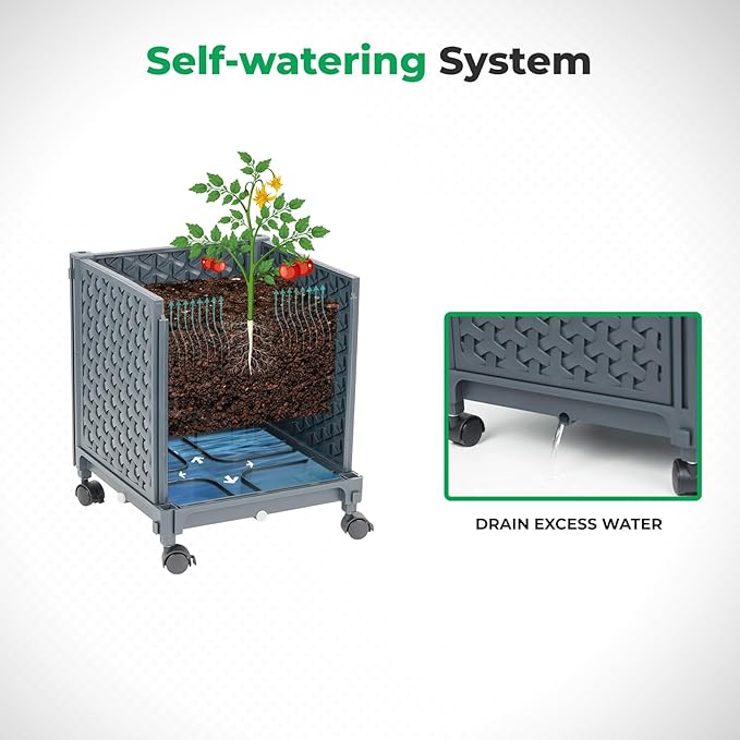 Raised Garden Bed with Tomato Planter Cage, 56.7” Trellis Planter Boxes with Wheels for Outdoor Patio Greenhouse Gardening Climbing Vegetables