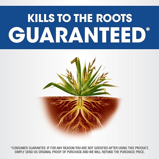 Roundup Weed & Grass Killer₄ Concentrate, Use in and Around Flower Beds, Walkways and Other Areas of Your Yard, 1 gal.