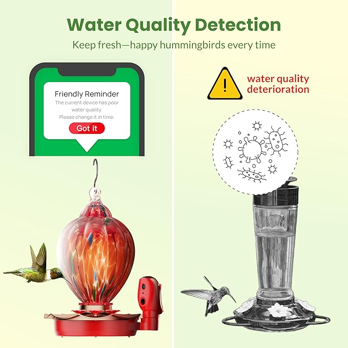 Smart Hummingbird Feeder with Camera, 2K HD Solar Panel Glass Bird Feeder with Night Vision&Water Sensor for Garden Decor, 148°View, AI Bird ID, Alexa & Google Compatible, IP66 Weatherproof