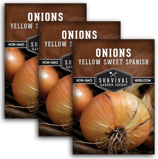 Yellow Sweet Spanish Onion Seed for Planting - 3 Packets with Instructions to Plant and Grow Long Day Onions in Your Home Vegetable Garden - Non-GMO Heirloom Variety - Survival Garden Seeds