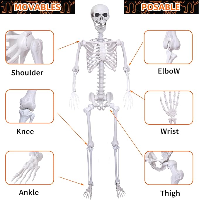 5.4Ft Halloween Life Size Skeleton,2PCS Posable Skeleton Full Body Size Realistic Human Bones with Movable Joints for Indoor Outdoor Halloween Decoration (Grey)