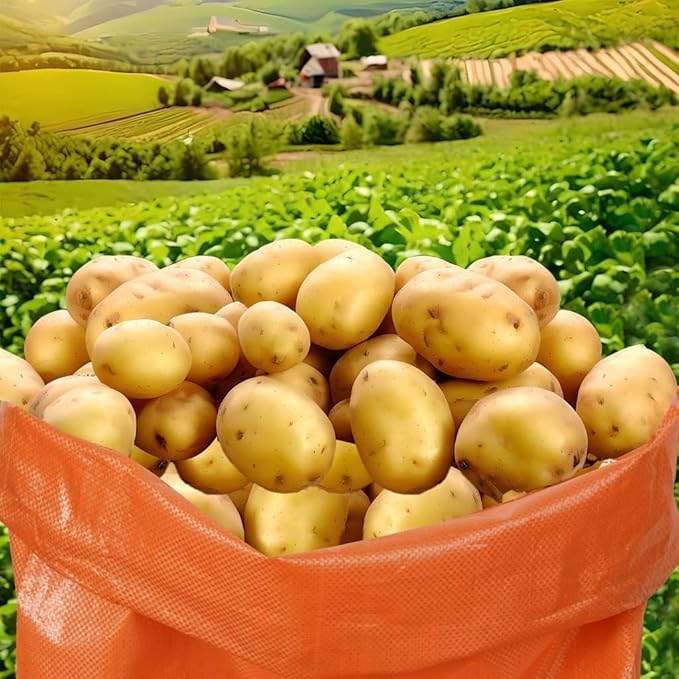 15Pcs Potato Sack Race Bags Large Size Game Race Bag for Carnival Easter Christmas School Outside Lawn Sports Games, Birthday Parties, Outdoor Family Gatherings, Barbecues
