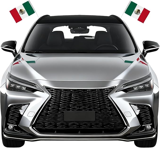 Mexico Car Flag Mexican Pride 2x Small Flag Bandera Mexicana para Carro | MandaFacil | Pair