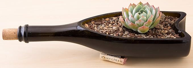 Succulent and Cactus Soil - Jacks Gritty Mix - 6 Gallons – Fast Draining – Fight Root Rot – Optimized pH