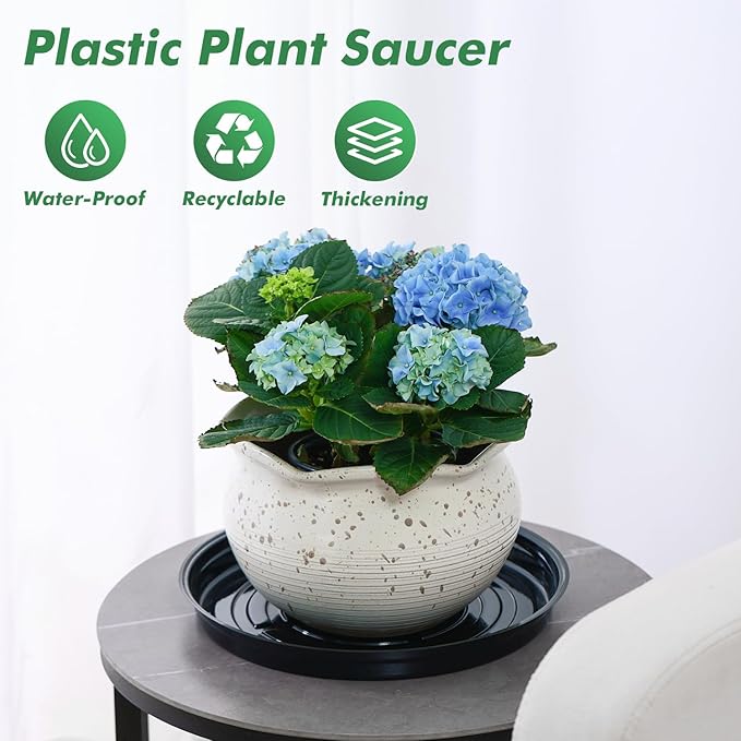 40 Pack 4 Inch Plant Saucer, Black Plant Saucers for Indoors No Holes, Plastic Plant Saucer for Plant Pots Plant Water Catcher Tray, Small Flower Pot Saucers Bulk Plant Drip Trays for Potted Plants