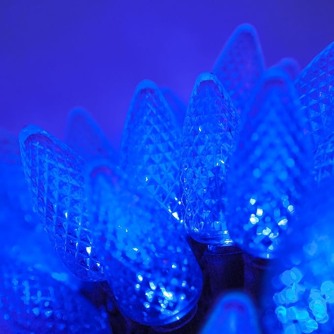 Wintergreen Lighting C9 Blue Christmas Lights, 17 ft LED Outdoor String Light Set, 25 Bulbs – Indoor/Outdoor Holiday Decor