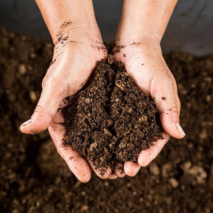 Peat Moss 2qt, Added to Soil and Enriches Plant Roots, Gardening Soil Amendment and Carnivorous Plant Soil Media