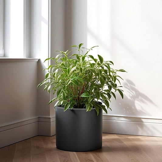 Fox & Fern 8 Inch Black Plant Pot with Drainage Plug — Premium Lightweight Fiberstone Matte Black Planter; 8 Inch Pots for Plants; for Indoor & Outdoor Use; Weather Resistant & UV Resistant