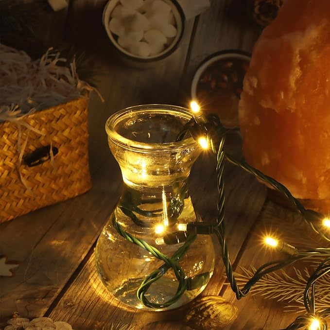 50 LED 5MM Warm White Christmas Lights, 17FT Indoor/Outdoor String Light, Mini Lights for Garden, Patio, Christmas Trees - Green Wire, Commercial Grade, UL Listed