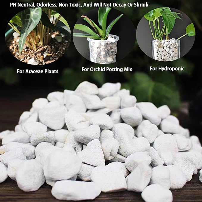 Natural 1-2CM Hard Chunky Perlite 5QT for Plants Horticultural Coarse Organic Pearlite Bulk Potting Mix Garden Soil Amendment for Enhanced Drainage and Ventilation for Orchid, Dendrobium, Araceae