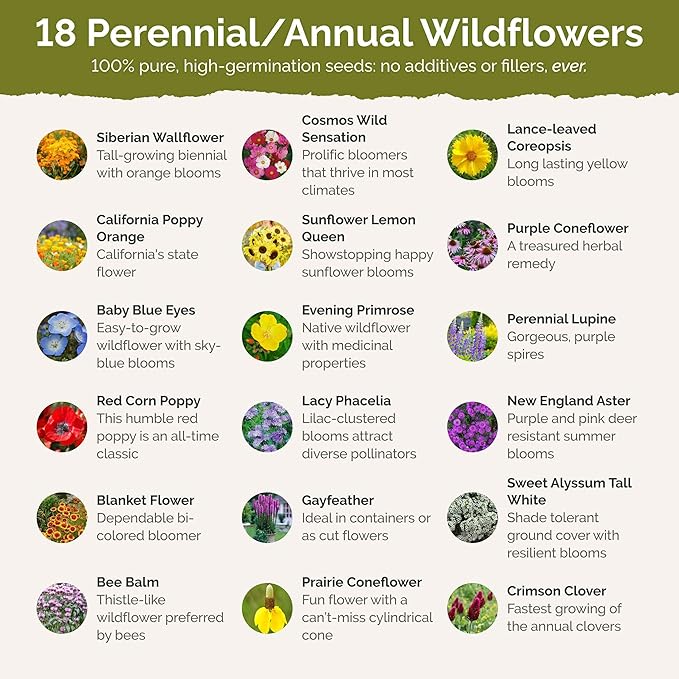 Eden Brothers South Carolina Wildflower Mixed Seeds for Planting, 1 oz, 30,000+ Seeds with WallFlower, Primrose | Attracts Pollinators, Plant in Spring or Fall, Zones