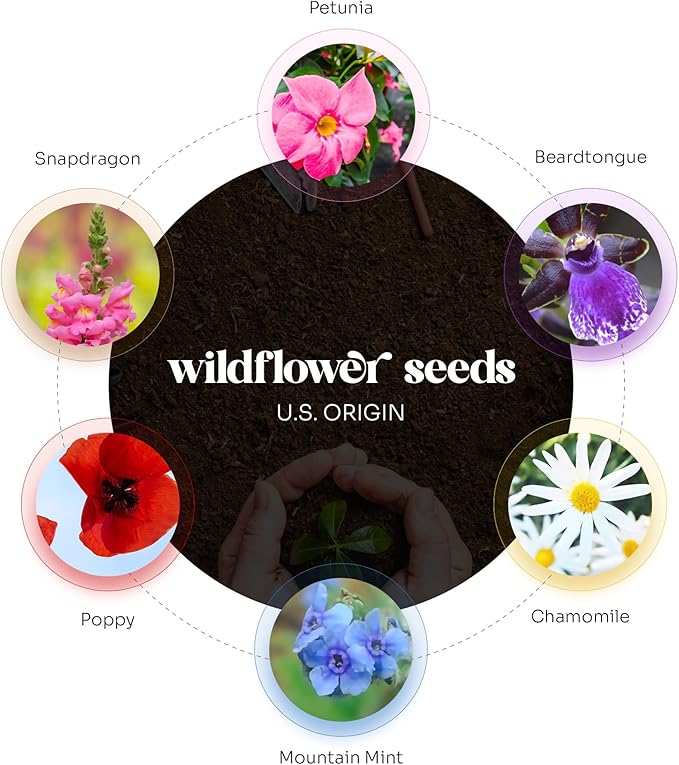 20pcs Thank You Tags Seed Paper – Plantable Wildflower Packets for Weddings, Gifts, & Life Events (20 Round Typewriter)