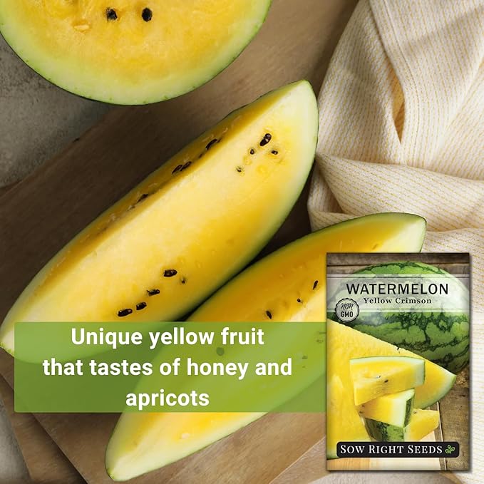Sow Right Seeds - Yellow Crimson Sweet Watermelon Seed for Planting - Non-GMO Heirloom Packet with Instructions to Plant a Home Vegetable Garden - Rare Yellow Flesh Melon with Sweet Flavor (4)
