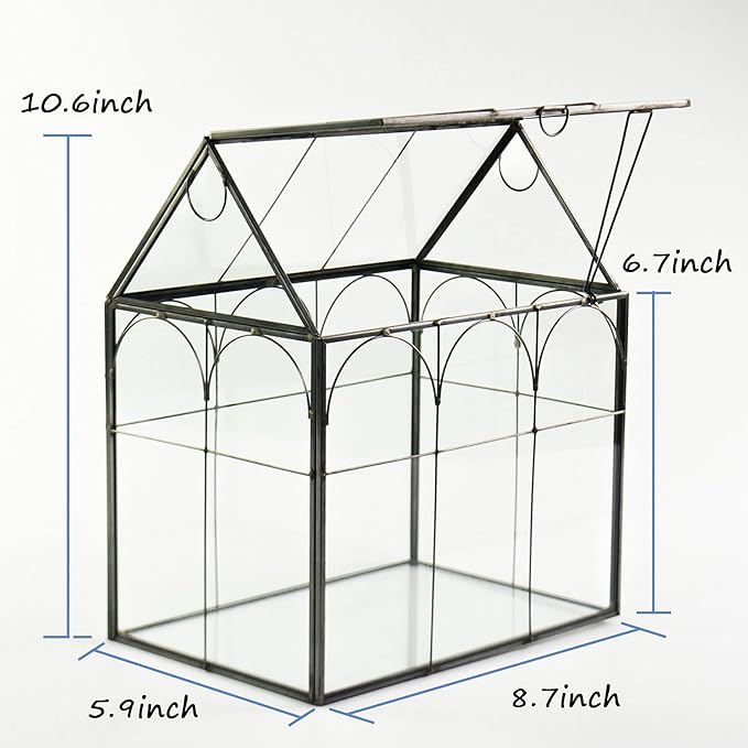 Large Tall Plant Greenhouse Terrarium Glass with Lid, 8.7"X5.9"X10.6" Inches Indoor Tabletop Orchid Succulent Cacti Terrarium Kit NA (House Black A)