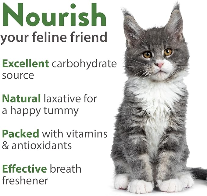 HOME GROWN 3200+ Cat Grass Seeds - Catnip Seeds, Alfalfa Seeds, Oat Seeds, and Oat & Barley Mix - Grow Cat Grass for Indoor Cats - Cat Grass Seeds Bulk - Refill Cat Growing Grass Kit