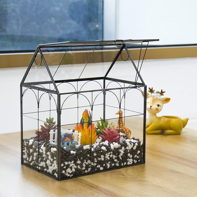 Large Tall Plant Greenhouse Terrarium Glass with Lid, 8.7"X5.9"X10.6" Inches Indoor Tabletop Orchid Succulent Cacti Terrarium Kit NA (House Black A)