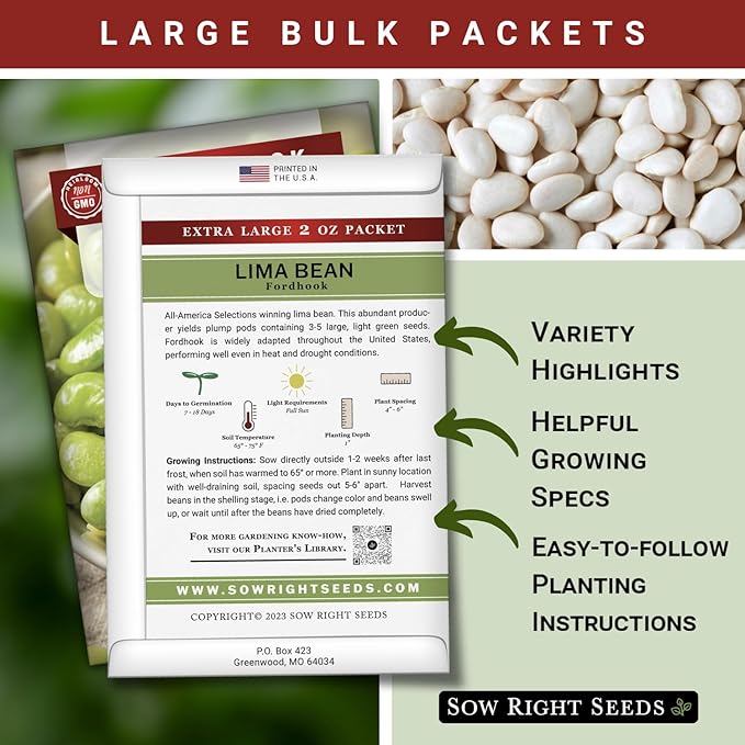 Sow Right Seeds - Bulk Fordhook Lima Bush Bean Seeds for Planting - 2 Ounce, 55 Seeds - Non-GMO Heirloom Jumbo Pack with Instructions to Plant an Outdoor Home Vegetable Garden - Bountiful Harvest