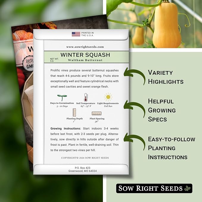 Sow Right Seeds - Waltham Butternut Squash Seeds for Planting - Non-GMO Heirloom Packet with Instructions to Plant a Home Vegetable Garden - Sweet Winter Squash, Perfect to Grow in Cooler Months (1)
