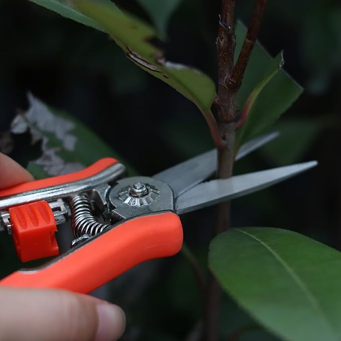 FLORA GUARD 6.5-Inch Floral Scissors, Zinc Alloy with Rubber Handle, Toothed Blade for Quick Cutting, Suitable for Flower Placement, Plant Pruning, Rose or Fruit Picking (6 PCS)