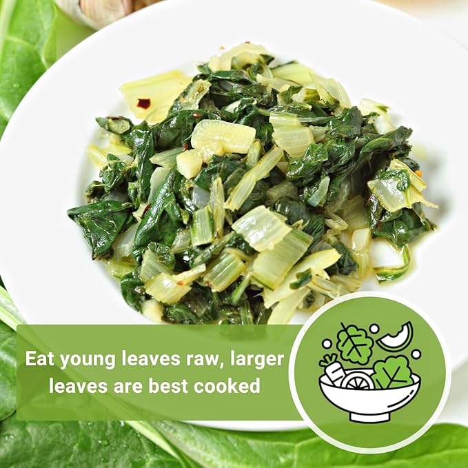 Sow Right Seeds - Fordhook Swiss Chard Seed for Planting - Non-GMO Heirloom Packet with Instructions to Plant and Grow an Outdoor Home Vegetable Garden - Nutritious, Flavorful - Great Gift (2)