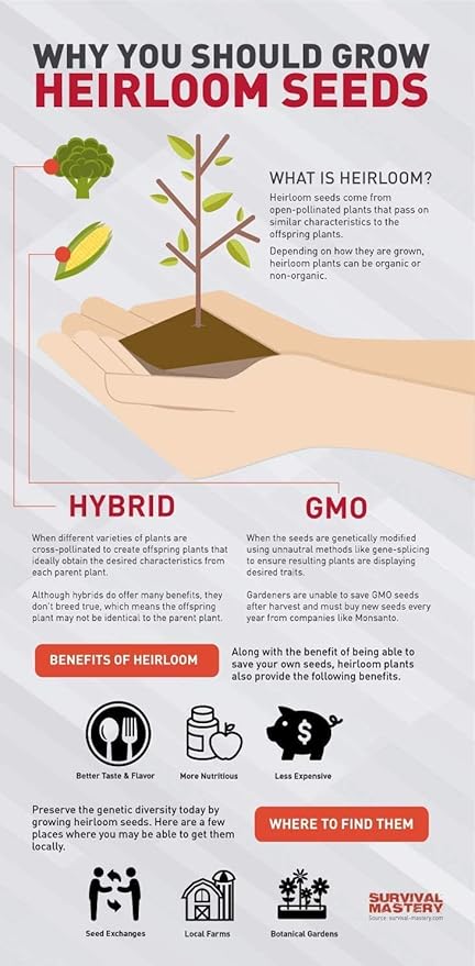 30 Packs of Deluxe Valley Greene Heirloom Vegetable Garden Seeds Non-GMO(Guaranteed 30 Different Varieties as Listed)