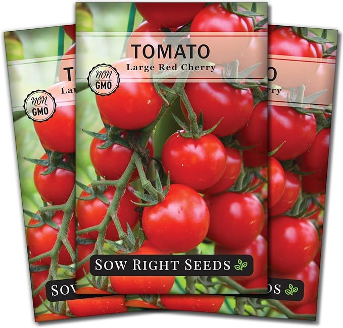 Sow Right Seeds - Large Red Cherry Tomato Seeds for Planting - Non-GMO Heirloom Packet with Instructions to Plant a Home Vegetable Garden - Tasty Snacking Variety, Start Indoors - Indeterminate (3)