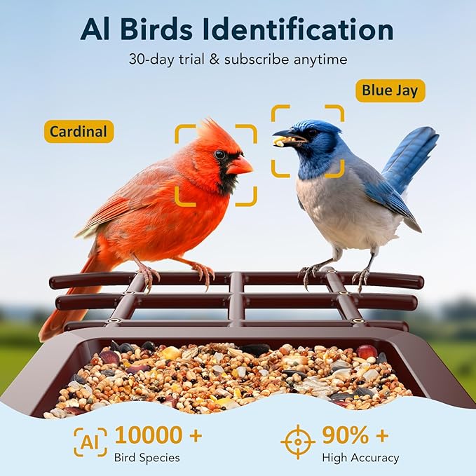 PeckCam® Bird Feeder with Camera Solar Powered, AI Identify & Auto Capture, 2K HD Live Video Smart Bird Feeder Camera Instant Notifications in Backyard, Gift for Bird Lovers