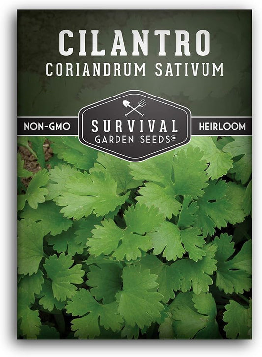 Survival Garden Seeds - Cilantro Seed for Planting - Packet with Instructions to Plant and Grow Coriandrum Sativum in Your Home Vegetable Garden - Non-GMO Heirloom Variety - 1 Pack - Cilantro Plant