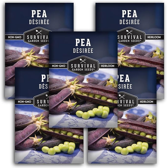 Desiree Pea Seed for Planting - 5 Packets with Instructions to Plant and Grow Delicious Purple-Podded Snap Peas in Your Home Vegetable Garden - Non-GMO Heirloom Variety - Survival Garden Seeds
