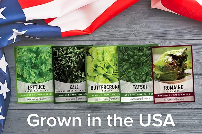 Gardeners Basics, Hydroponic Seeds for Planting Planting Indoors and Outdoor 5 Variety Pack - Tatsoi, Kale, Buttercrunch, Romaine and Loose Leaf Lettuce Seeds