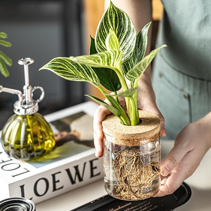 Glass Propagation Stations for Plants -Desktop Flower Vases,Propagation Flower Vases Set – 2 Sizes Planter Propagated Jars,for Plant Cuttings,for Living Room, Bedroom Decoration,Home,Office Decor(12)