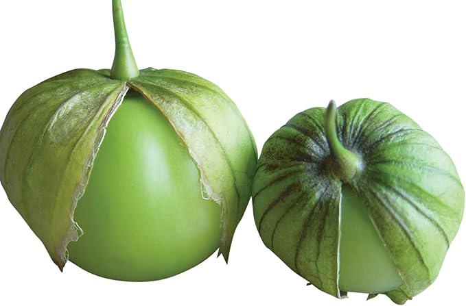 Burpee Gigante Tomatillo Seeds 160 seeds