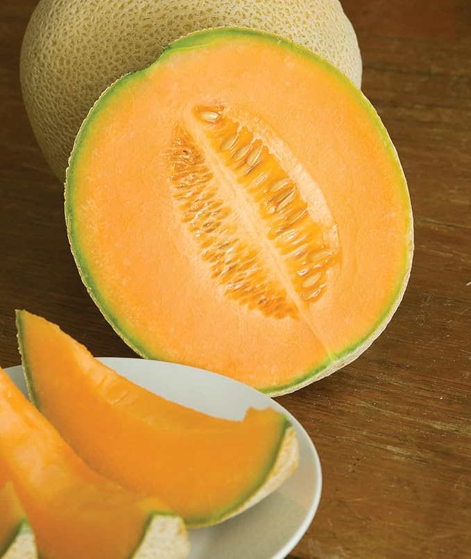 Burpee Hale's Best Jumbo Cantaloupe Melon Seeds 200 seeds