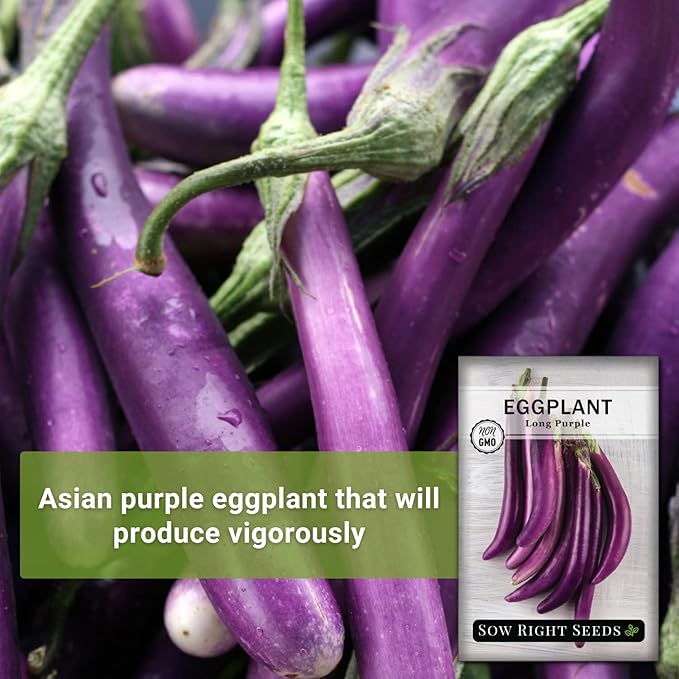 Sow Right Seeds - Long Purple Eggplant Seeds for Planting - Non-GMO Heirloom Packet with Instructions to Plant an Outdoor Home Vegetable Garden - Grow This Chinese Variety Indoors or Outdoors (2)