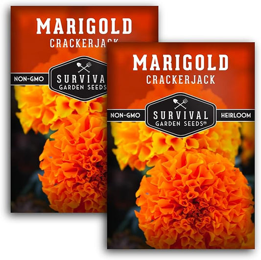 Survival Garden Seeds - Crackerjack Marigold Seed for Planting - 2 Packs with Instructions to Plant and Grow in Your Home Vegetable Garden - Non-GMO Heirloom Variety