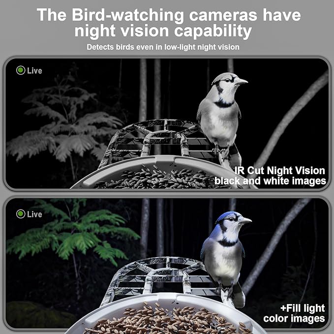 DCT Smart Bird Feeder with Camera: 1080P HD AI Identify 11K+ Species Weatherproof Squirrel Alert APP Control 2-Way Audio for Bird Lovers Garden/Backyard Outdoor Watching Gift