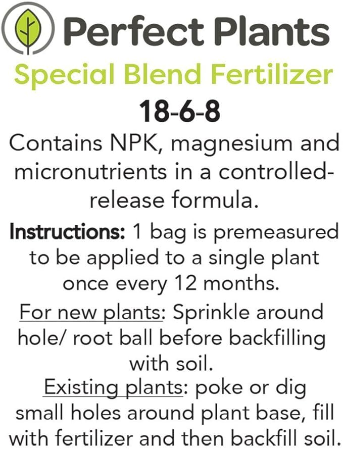 Zhuzhou LOROPETALUM - Size: 1 Gallon, Live Plant, Includes Special Blend Fertilizer & Planting Guide (Pack of 2)