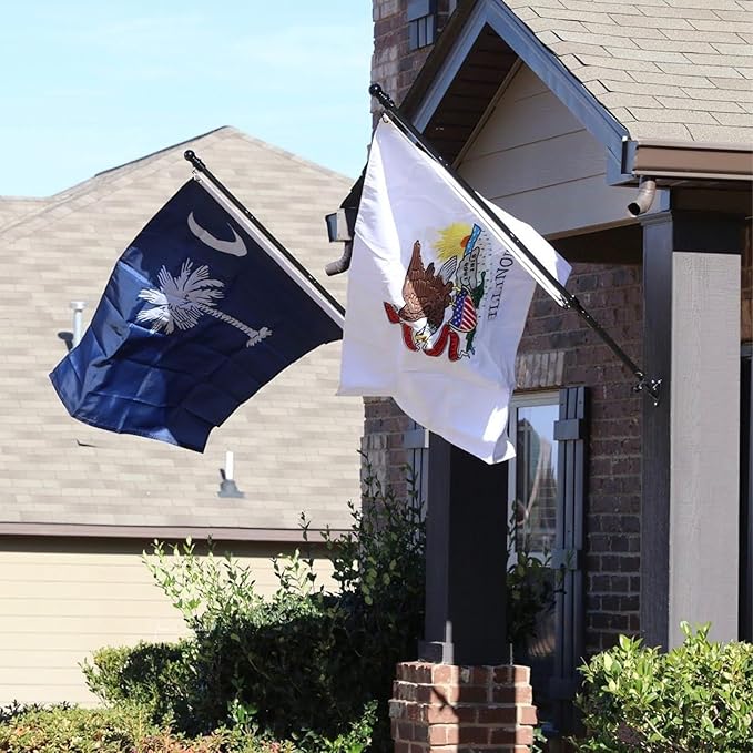 AMZFLAG South Carolina Flag 3x5 feet Heavy Duty 3 Ply SC South Carolina State Flags, Thick Material Palmetto State Flags with 2 Brass Grommets