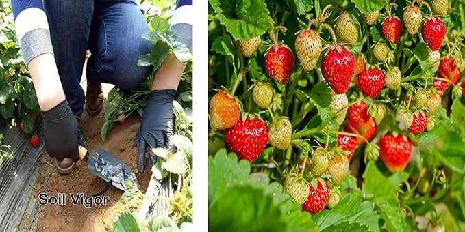 5 Lbs. Soil Vigor Super Absorbent Polymer, Moisture Trap for All Plants, Trees, Shrubs, Vegetable, Flower Gardens, and Lawns