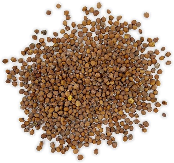 The Old Farmer's Almanac Organic Radish Seeds (Cherry Belle) - Approx 400 Seeds - Certified Organic, Non-GMO, Open Pollinated, Heirloom, USA Origin