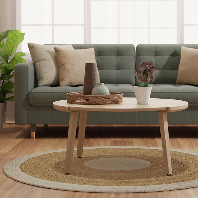 Arcadia Garden Products Live Mermaid Tail Cactus Indoor Houseplant in Plastic Pot, Euphorbia lactea Cristata Crested Coral Succulent Plant Gift for Home and Garden Decor, 4-inch, Red