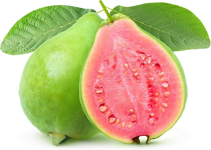 YEGAOL Garden 50Pcs Guava Seeds Red Psidium Guajava Seeds Perennial Sweet Fragrant Tropical Fruit Seeds Non-GMO Backyard Plant