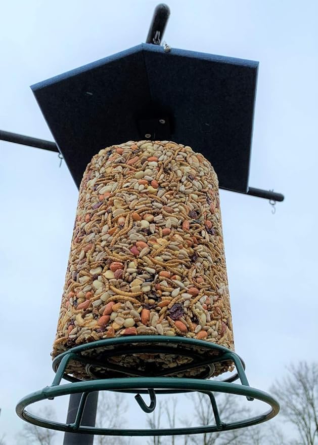 JCs Wildlife Poly Weather Cover - Rain Guard - Hang Bird Feeder or House Underneath for Protection from Rain or Snow - Easy to Clean and Use (Medium, Blue)
