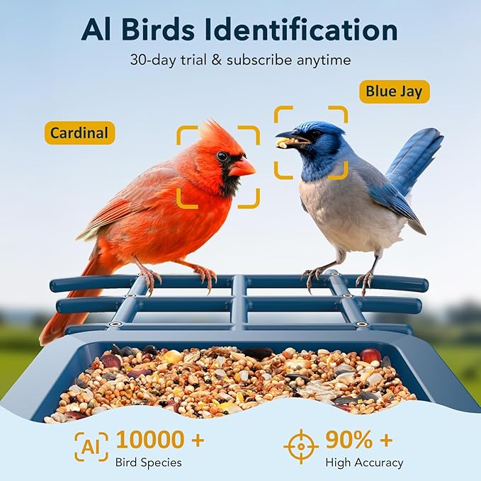 PeckCam® Bird Feeder with Camera Solar Powered, AI Identify & Auto Capture, 2K HD Live Video Smart Bird Feeder Camera Instant Notifications in Backyard, Gift for Bird Lovers